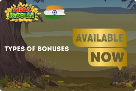 Types of Mega Moolah bonuses 