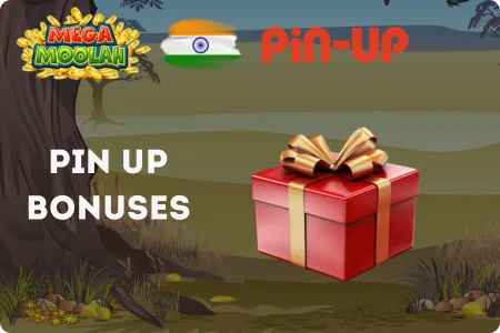 Mega Moolah in India Pin Up Bonuses